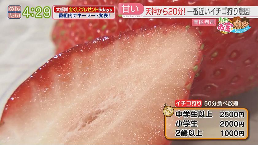 九州お宝ジャーニー｜福岡市南区編