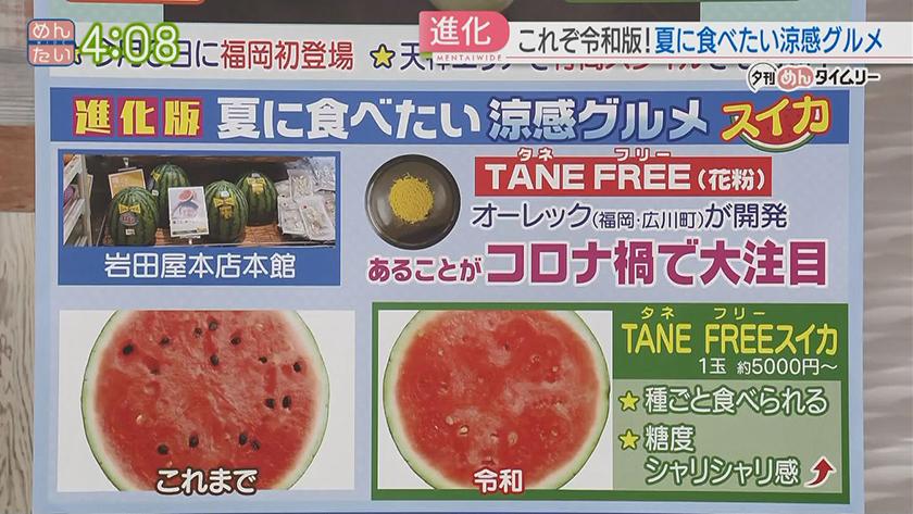 夕刊めんタイムリー｜暑い夏を楽しむ!進化する涼感グルメ