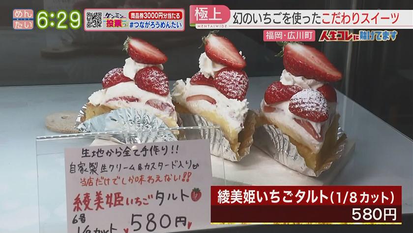 人生コレに賭けてます｜唯一無二!幻のイチゴを作った農家(広川町)