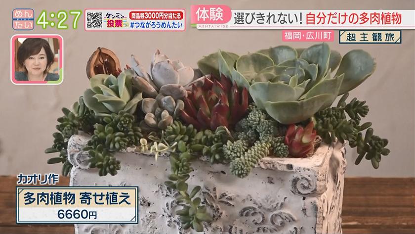 超主観旅|福岡・広川エリア 超主観旅|福岡・広川エリア