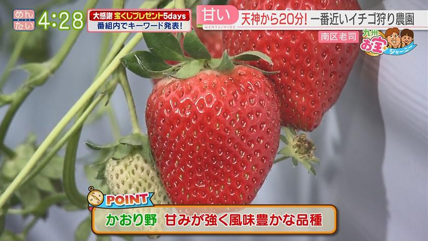 九州お宝ジャーニー｜福岡市南区編