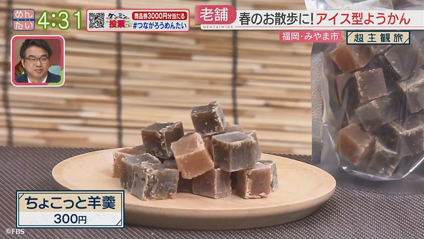 超主観旅|みやま市編 超主観旅|みやま市編