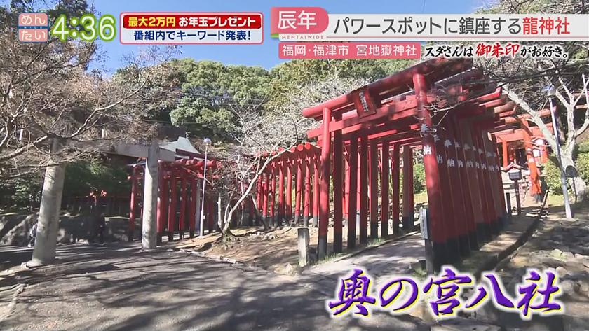 スダさんは御朱印がお好き。｜足神with宮&龍神