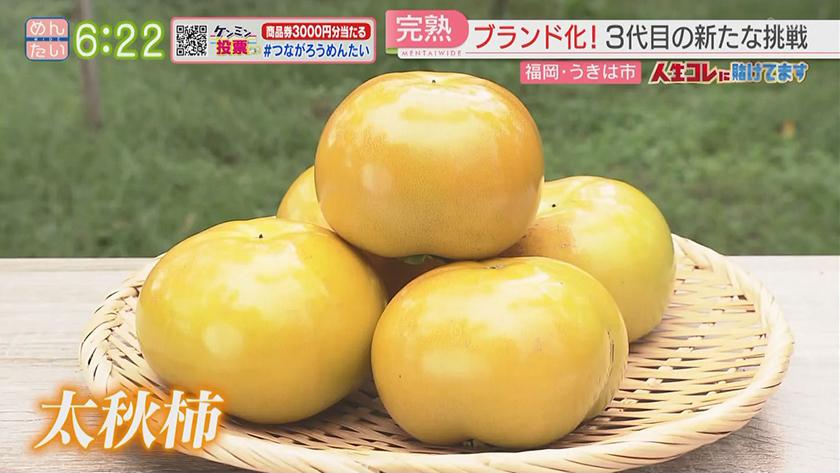 柿農家の孫 夫婦で新風を大家族柿農家｜めんたいワイド｜FBS福岡放送