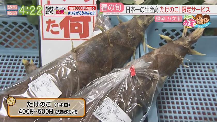 九州お宝ジャーニー|八女市 九州お宝ジャーニー|八女市