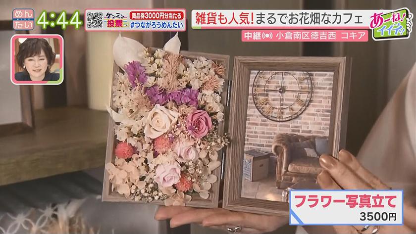 あーね!イイネ!中継|まるでお花畑!母の日におしゃれカフェ あーね!イイネ!中継|まるでお花畑!母の日におしゃれカフェ