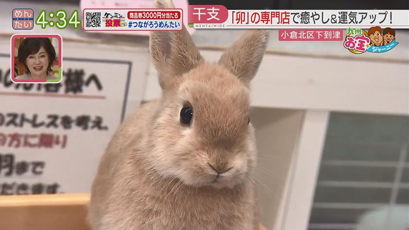 九州お宝ジャーニー｜北九州市
