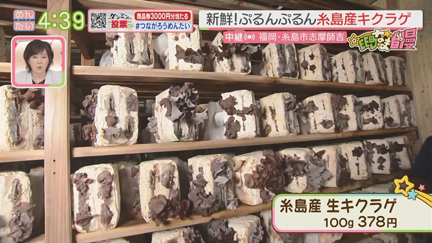 集まれ!EE町なま自慢｜県内の9割生産きくらげ(糸島市)