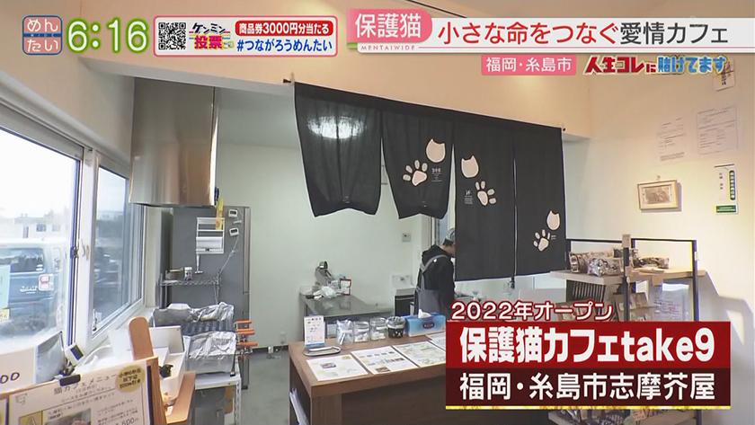 人生コレに賭けてます｜命をつなぐ保護猫カフェ店主