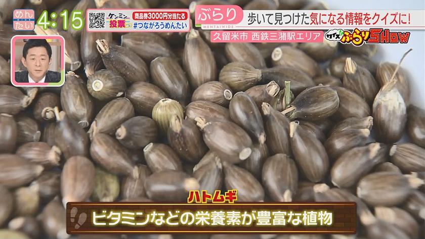クイズぶらりSHOW【新企画】｜三潴駅(久留米市)