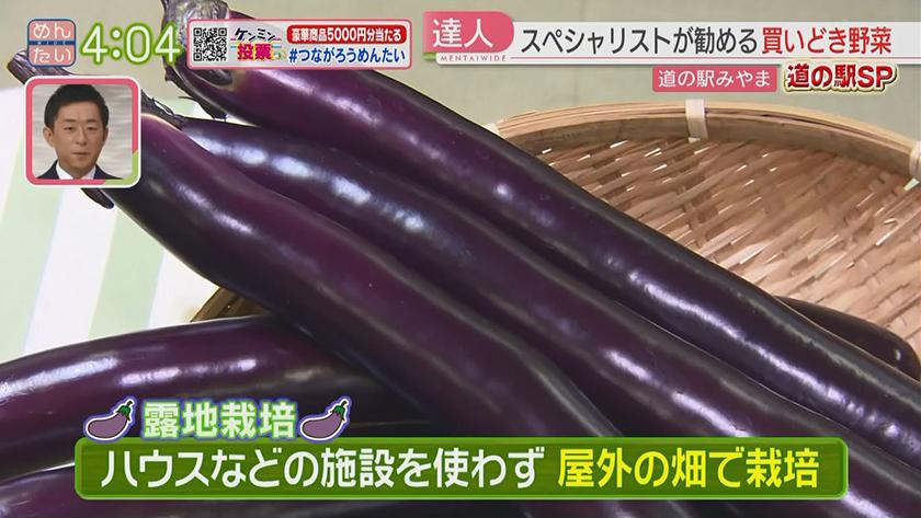 VTR企画｜道の駅SP