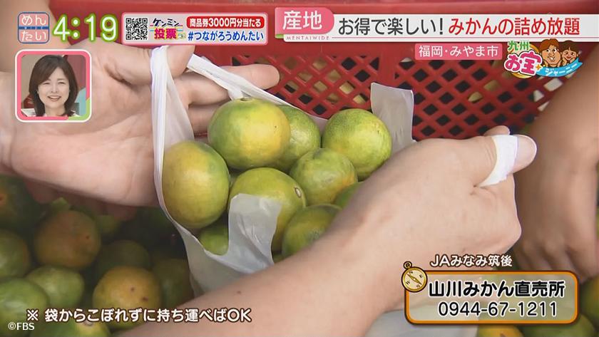 九州お宝ジャーニー|みやま市編 九州お宝ジャーニー|みやま市編