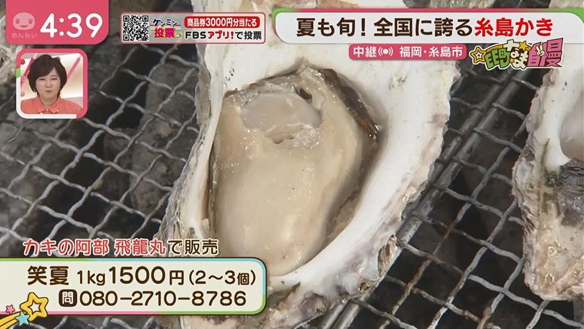 集まれ!EE町なま自慢｜糸島のブランドかき大集合
