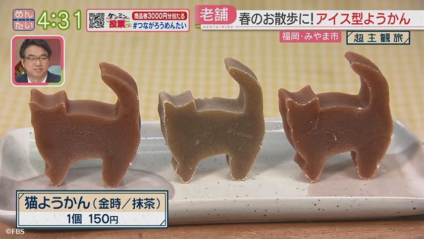 超主観旅|みやま市編 超主観旅|みやま市編