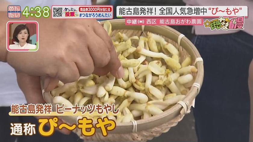 集まれ!EE町なま自慢｜全国で人気！ピーナッツもやし(能古島)