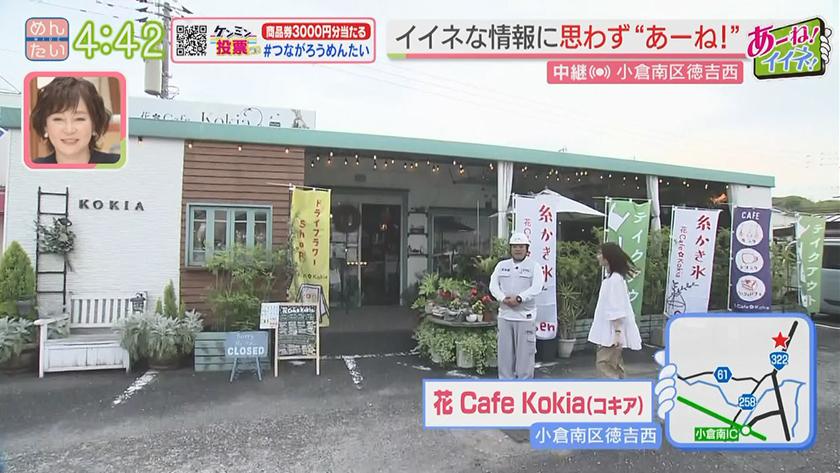 あーね!イイネ!中継|まるでお花畑!母の日におしゃれカフェ あーね!イイネ!中継|まるでお花畑!母の日におしゃれカフェ