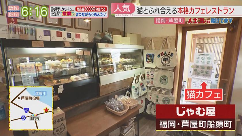 人生コレに賭けてます｜採算度外視で猫の保護活動をする料理人(芦屋町)