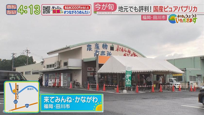 大地のうまうまいただきます【週替わり新企画】｜パプリカ　後編