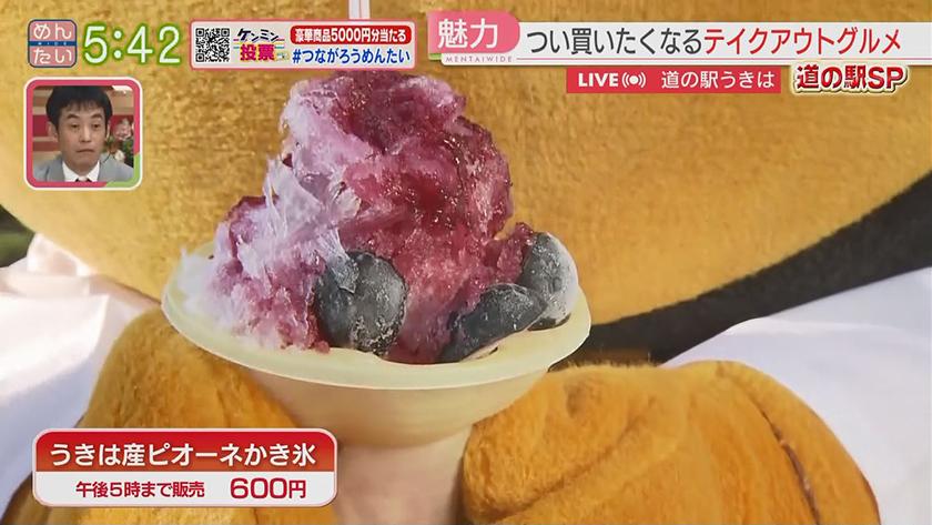 VTR企画｜道の駅SP