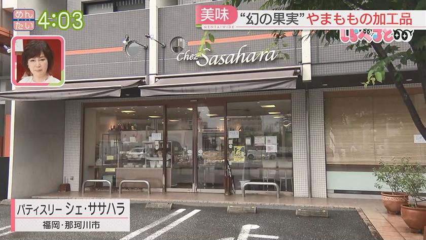 夕刊めんタイムリー｜しらべると　那珂川市で発見!幻の果実“やまもも”大調査