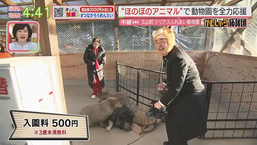 押忍!がむしゃら応援団｜今だけの癒やし姿を撮って動物園を応援