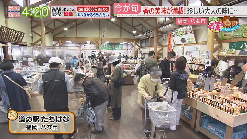 九州お宝ジャーニー|八女市 九州お宝ジャーニー|八女市