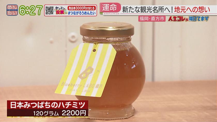 人生コレに賭けてます|看護師から転身!ブルーベリー農家 人生コレに賭けてます|看護師から転身!ブルーベリー農家