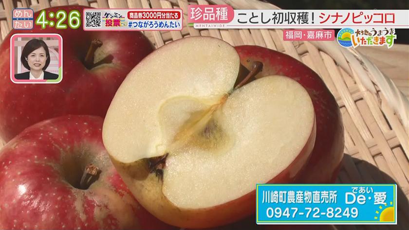 大地のうまうまいただきます【週替わり新企画】｜りんごドクターの果樹園(嘉麻市)