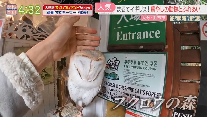 超主観旅｜大分・湯布院周辺