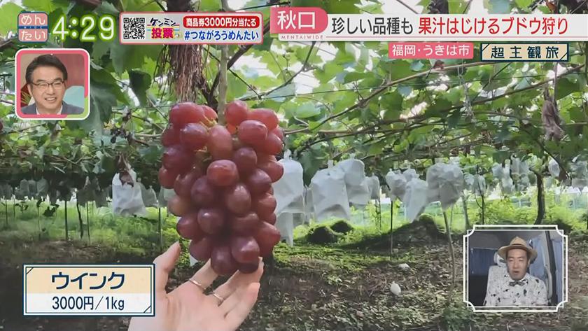 超主観旅|うきは市編 超主観旅|うきは市編