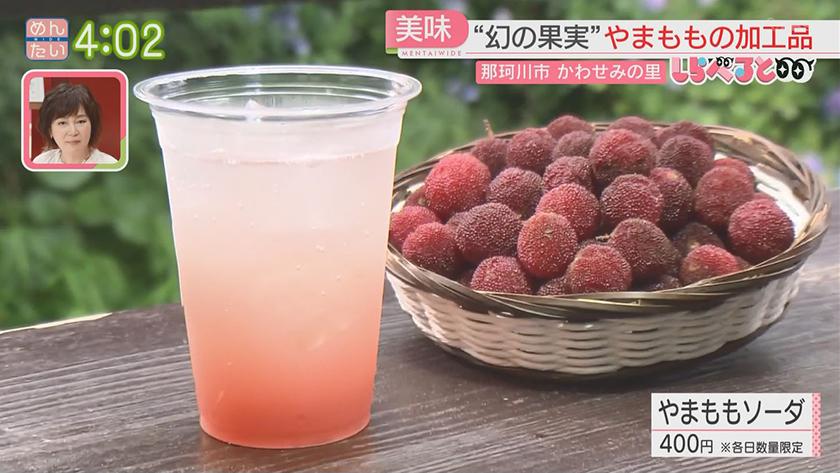 夕刊めんタイムリー｜しらべると　那珂川市で発見!幻の果実“やまもも”大調査