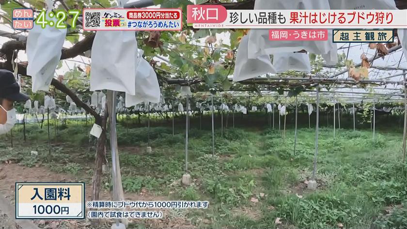 超主観旅|うきは市編 超主観旅|うきは市編