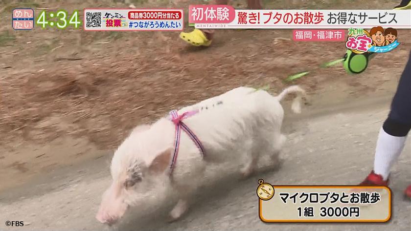 九州お宝ジャーニー|福岡・福津市 九州お宝ジャーニー|福岡・福津市