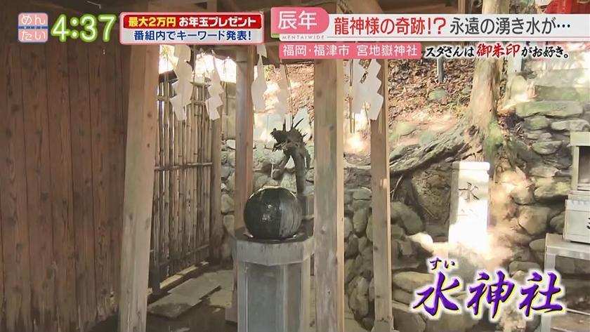 スダさんは御朱印がお好き。｜足神with宮&龍神