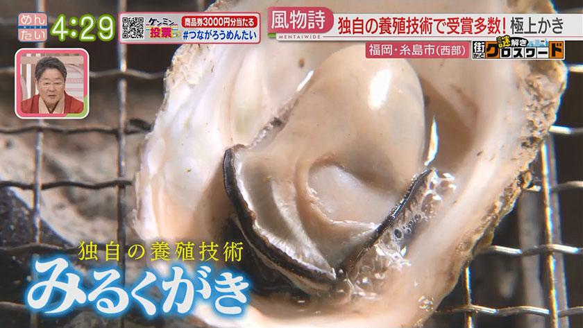 謎解き 街かどクロスワード【新企画】|糸島(西部)エリア 謎解き 街かどクロスワード【新企画】|糸島(西部)エリア