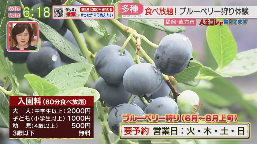 人生コレに賭けてます|看護師から転身!ブルーベリー農家 人生コレに賭けてます|看護師から転身!ブルーベリー農家