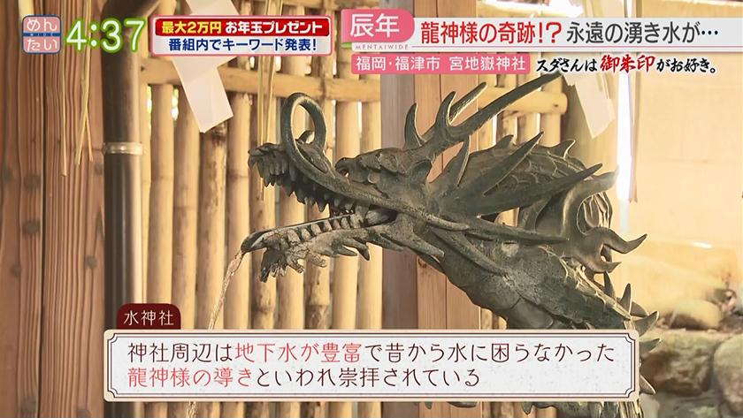 スダさんは御朱印がお好き。｜足神with宮&龍神