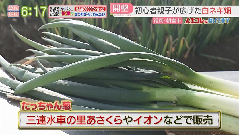 人生コレに賭けてます｜目指すは日本一!白ネギ脱サラ農家