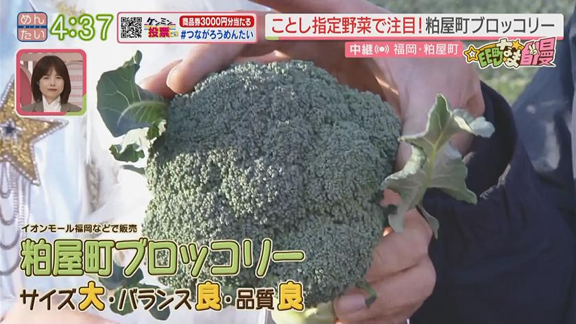 集まれ!EE町なま自慢｜歴史アリ！粕屋町のブロッコリー