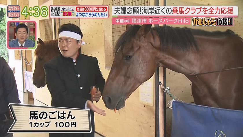 気軽に乗馬できる新スポット｜めんたいワイド｜FBS福岡放送