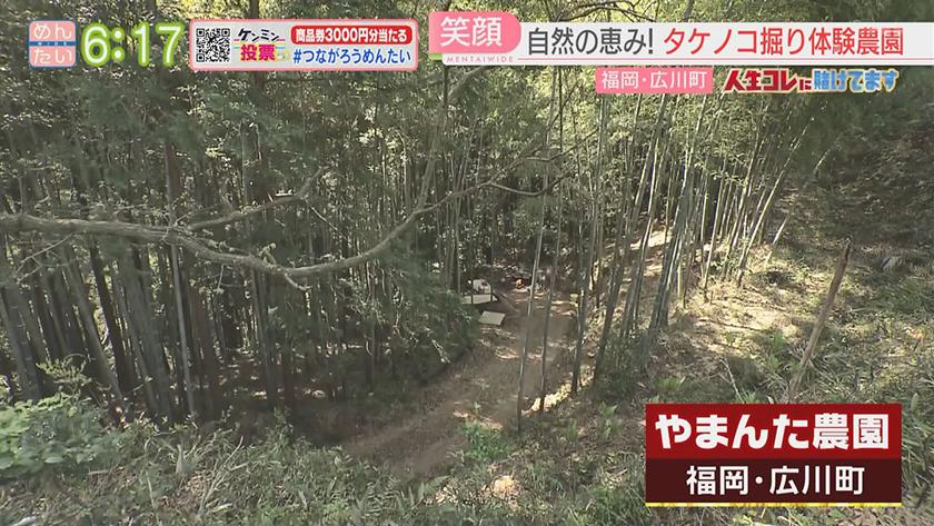 人生コレに賭けてます｜大きな夢を抱く女性農家