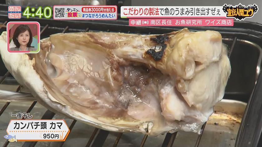 宣伝人間ユウ｜熟成が命!お魚研究所@南区長住