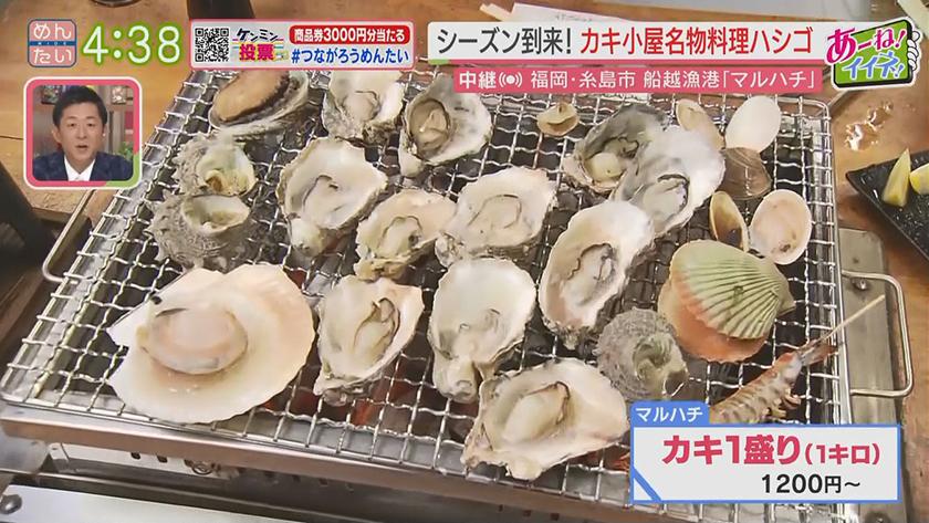 あーね!イイネ!中継|これからの季節行きたくなるカキ小屋~カキ小屋の一品料理対決~ あーね!イイネ!中継|これからの季節行きたくなるカキ小屋~カキ小屋の一品料理対決~