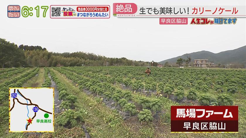 人生コレに賭けてます|あえて選んだ専業農家ケール栽培 人生コレに賭けてます|あえて選んだ専業農家ケール栽培