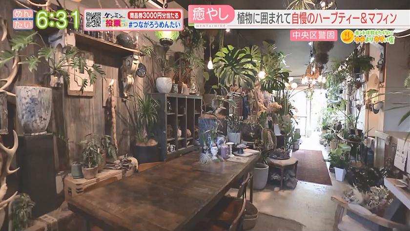 ホントは教えたくないウチよりウマい店|スパイス・ハーブ料理(城南区荒江)・植物の店のカフェ(中央区警固) ホントは教えたくないウチよりウマい店|スパイス・ハーブ料理(城南区荒江)・植物の店のカフェ(中央区警固)