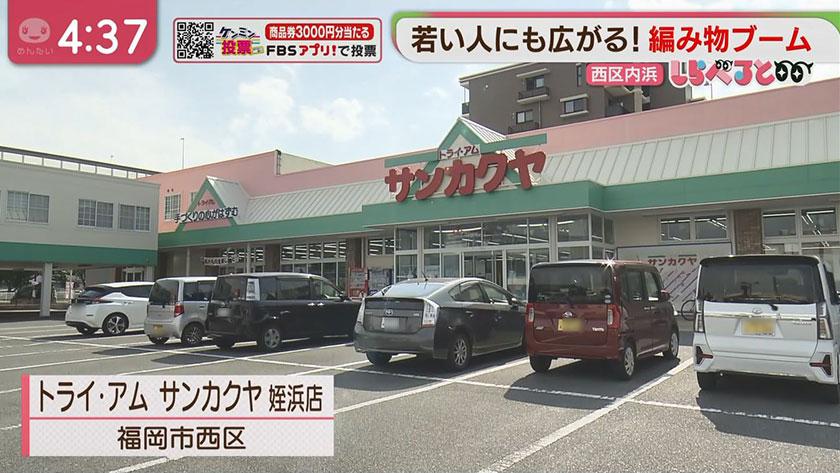 しらべると｜若い人も増加“編み物ブーム”