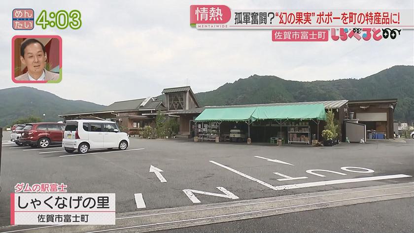 夕刊めんタイムリー｜しらべると～幻の果実“ポポー”を町の特産品に!～