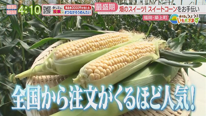 大地のうまうまいただきます【週替わり新企画】｜スイートコーン(築上町)　前編