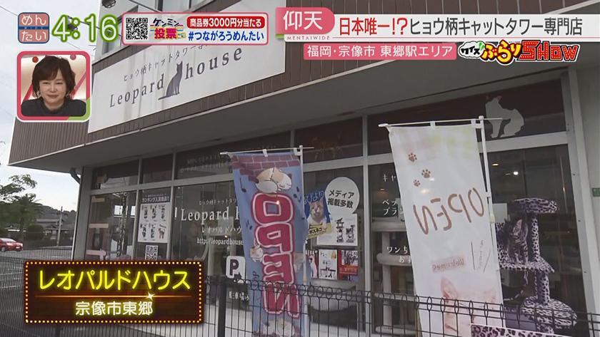 クイズぶらりSHOW｜東郷駅周辺(宗像市)