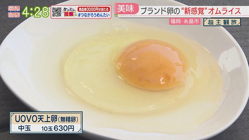 超主観旅｜糸島市